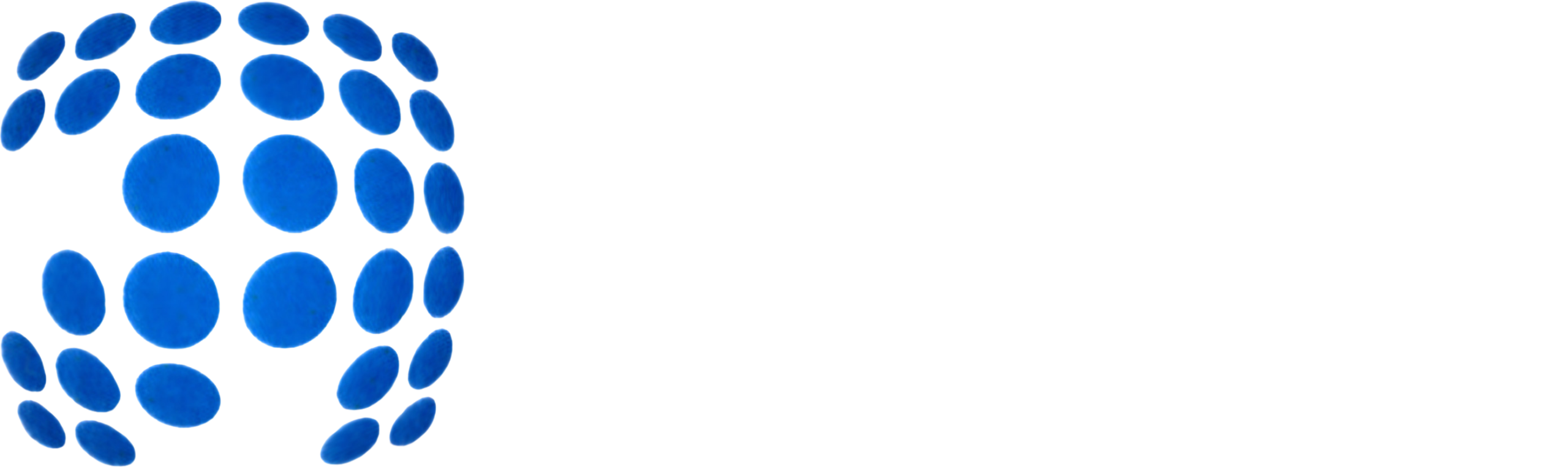 logo-guglielmetti-bianco-blu